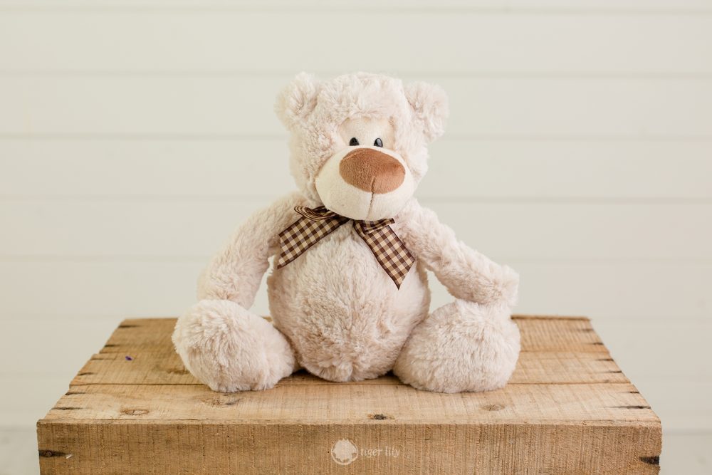 Teddy