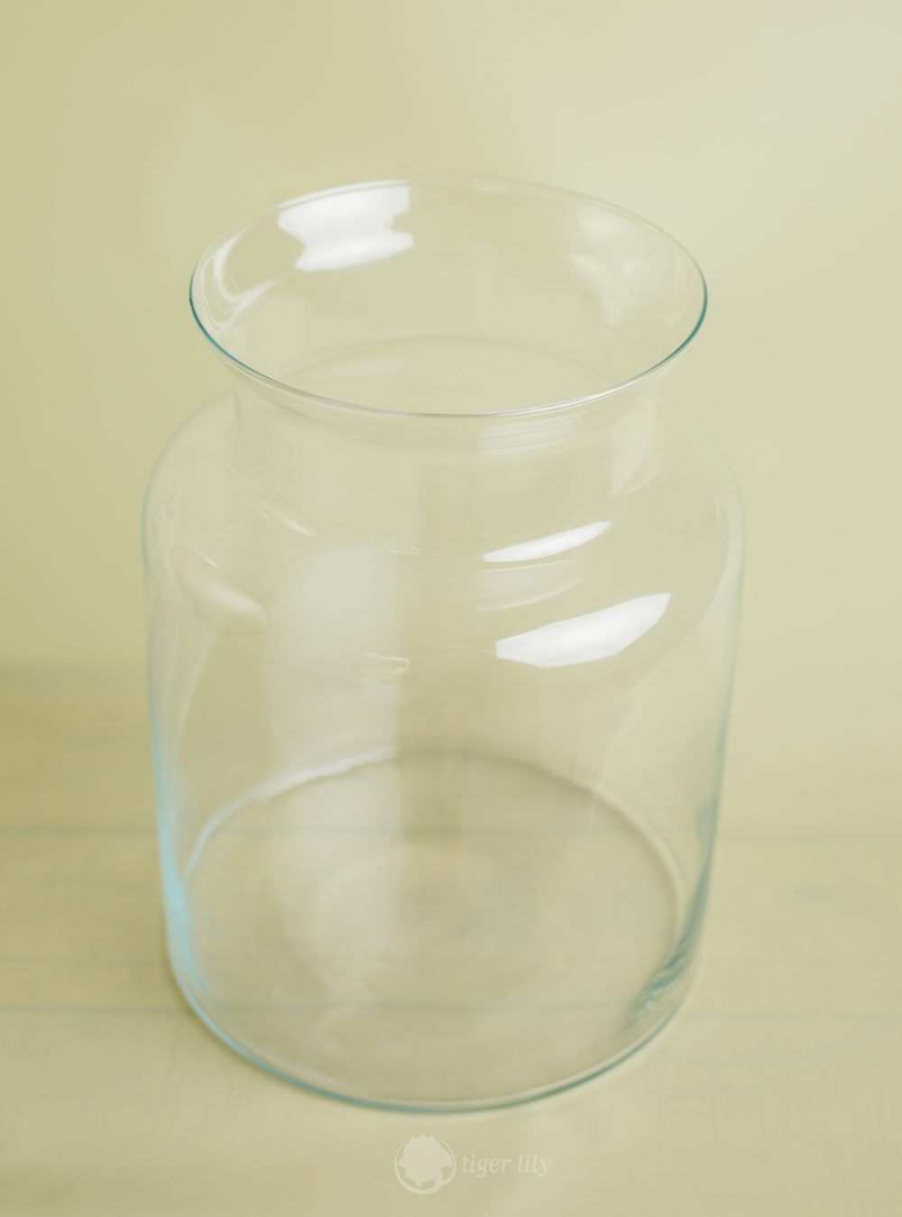 Glass Vase