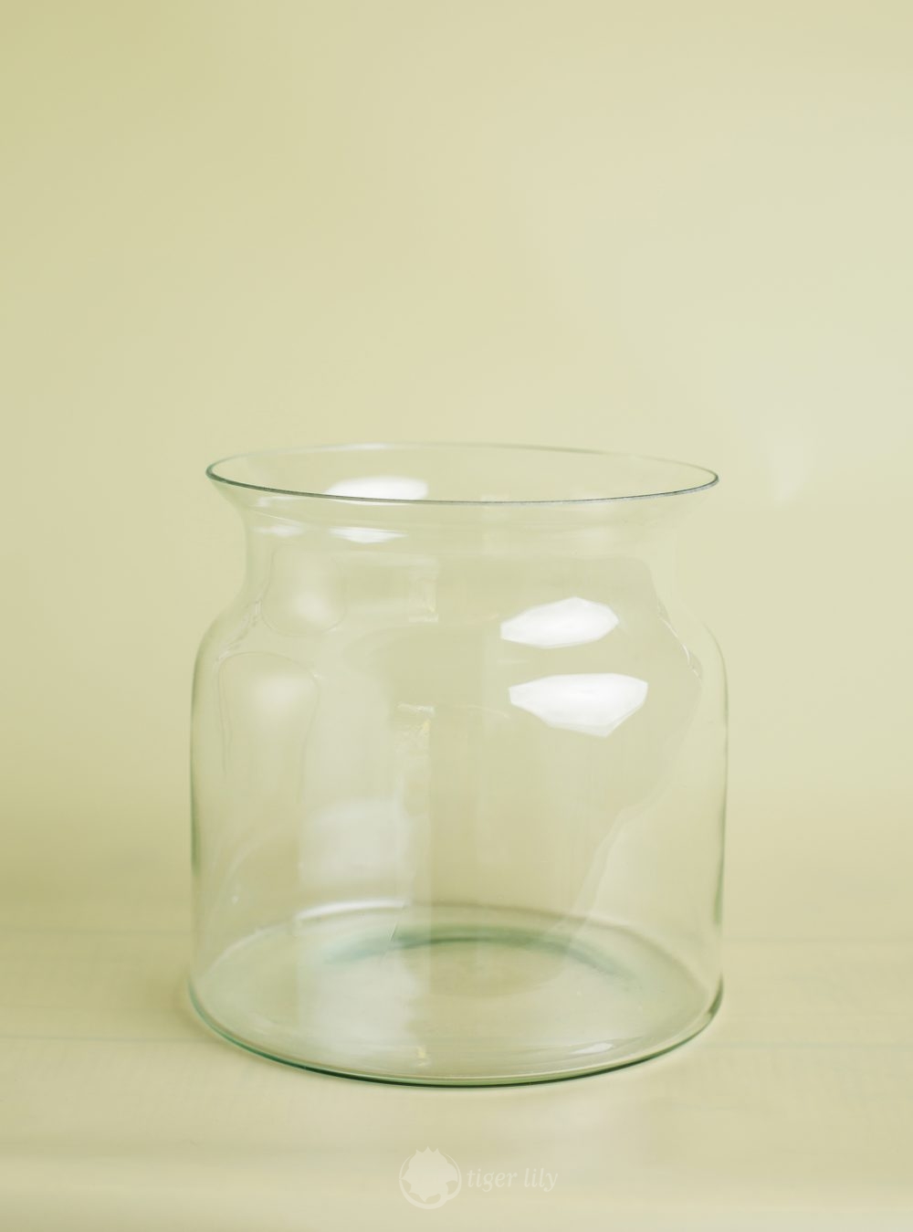 Glass Vase