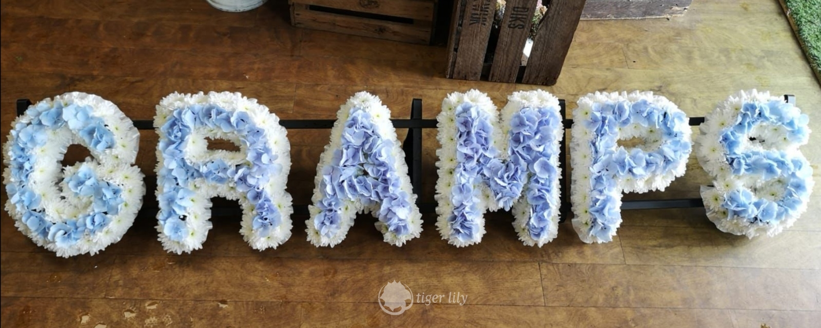 Letters & Words Tribute